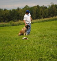 Rocky Family Protection Dog