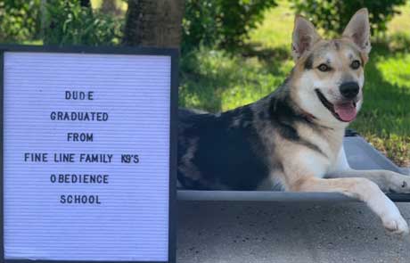 Dude Board and Train Graduate