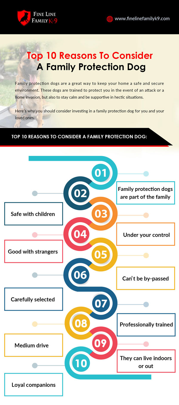 Top 10 reasons to consider a family protection dog