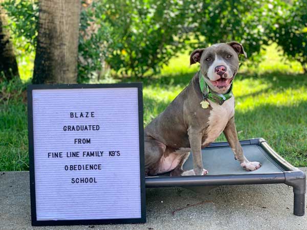 Blaze Board & Train Graduate