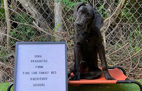 Cora Dog Training Graduate