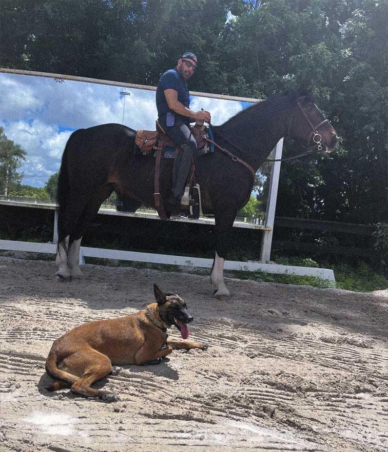 Rage Family Protection dog with other animal - horse and Belgian Malinois