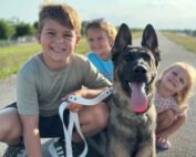 Family protection dog with little kids