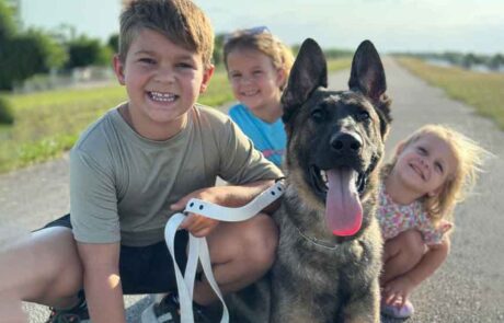 Family protection dog with little kids