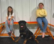 Rottweiler family protection dog with two young girls