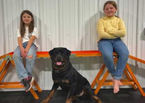 Rottweiler family protection dog with two young girls