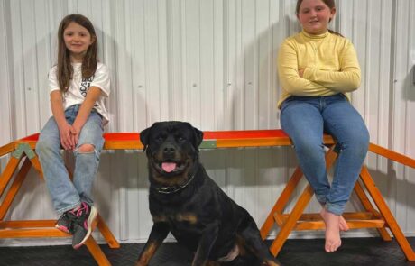 Rottweiler family protection dog with two young girls